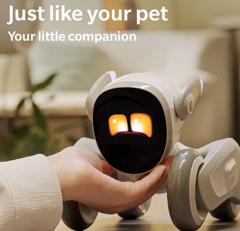 Loona Smart Robot Premium Bundle - Brand New Unopened